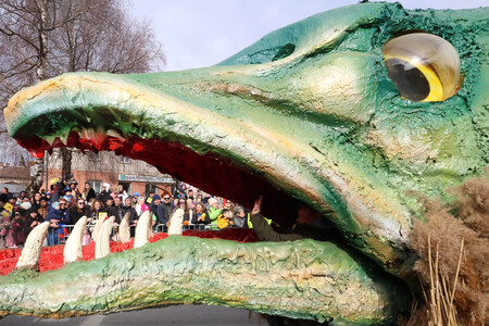 ZLATA POROKA PUSTNI KARNEVAL 62 FOTO LJUBO VUKELIČ